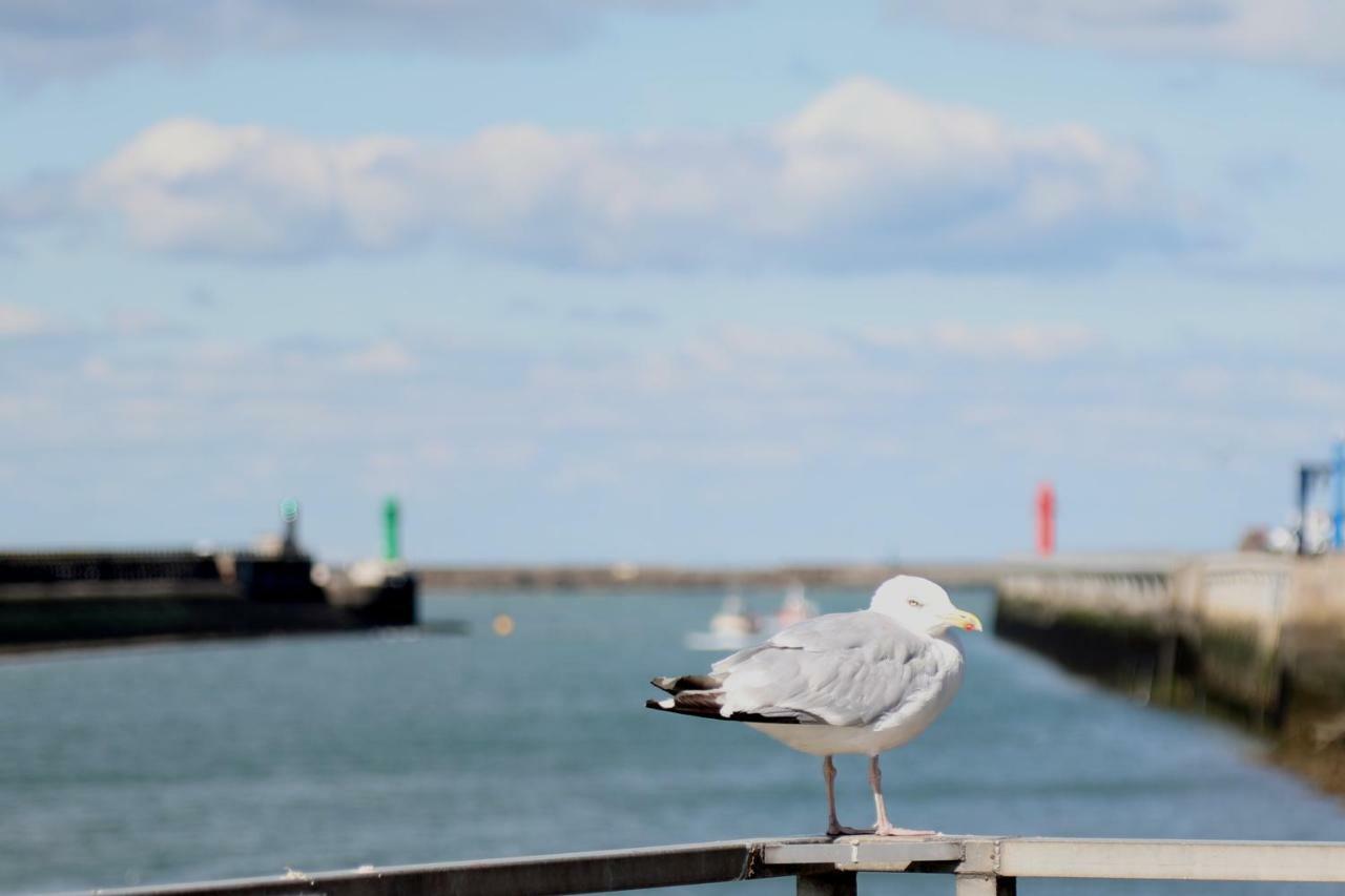 Apartament Studio-Cosy 1 Vue Port A Deux Pas De Nausicaa Boulogne-sur-Mer Zewnętrze zdjęcie